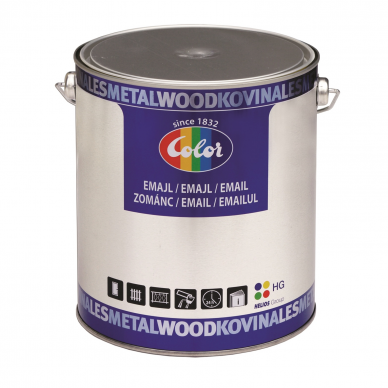 Emaliniai dažai COLOR ENAMEL RAL 1003 Geltona