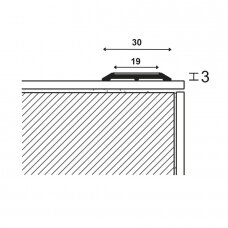 Profiliuotis 110/F SS